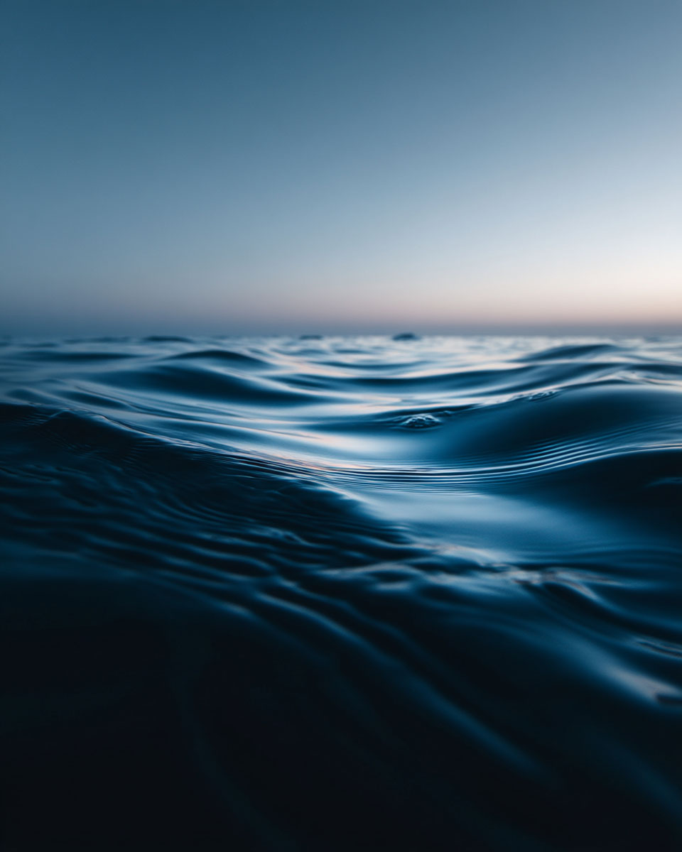 Quiet Empowerment: The Whisper That Changes Everything